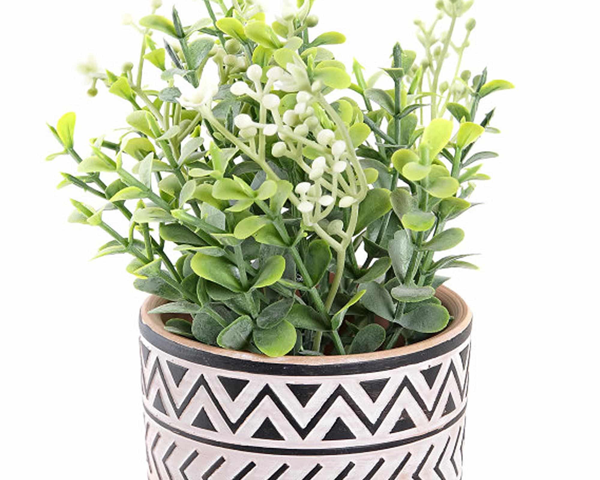 Pianta Verde con Ciotola Assortito D10x15cm in Plastica e Cemento - immagine 3