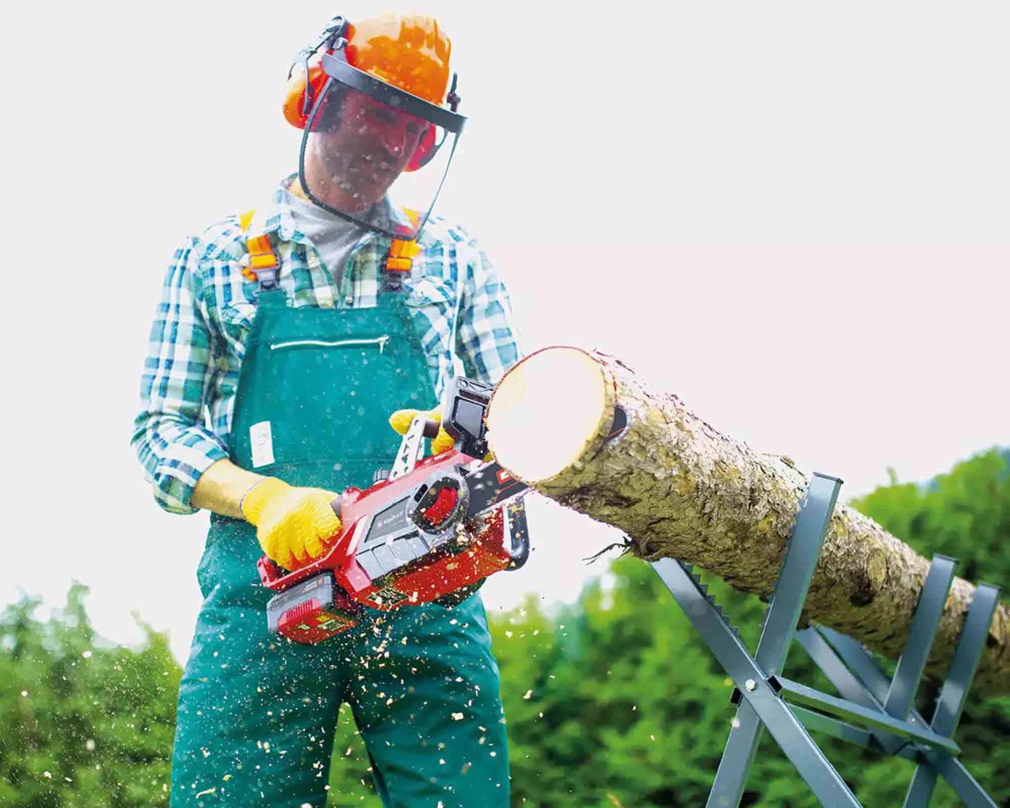 Eletrosega con Batteria 18 V Lunghezza di Taglio 23cm 3 AH GE-LC 18 LI - Einhel - immagine 3