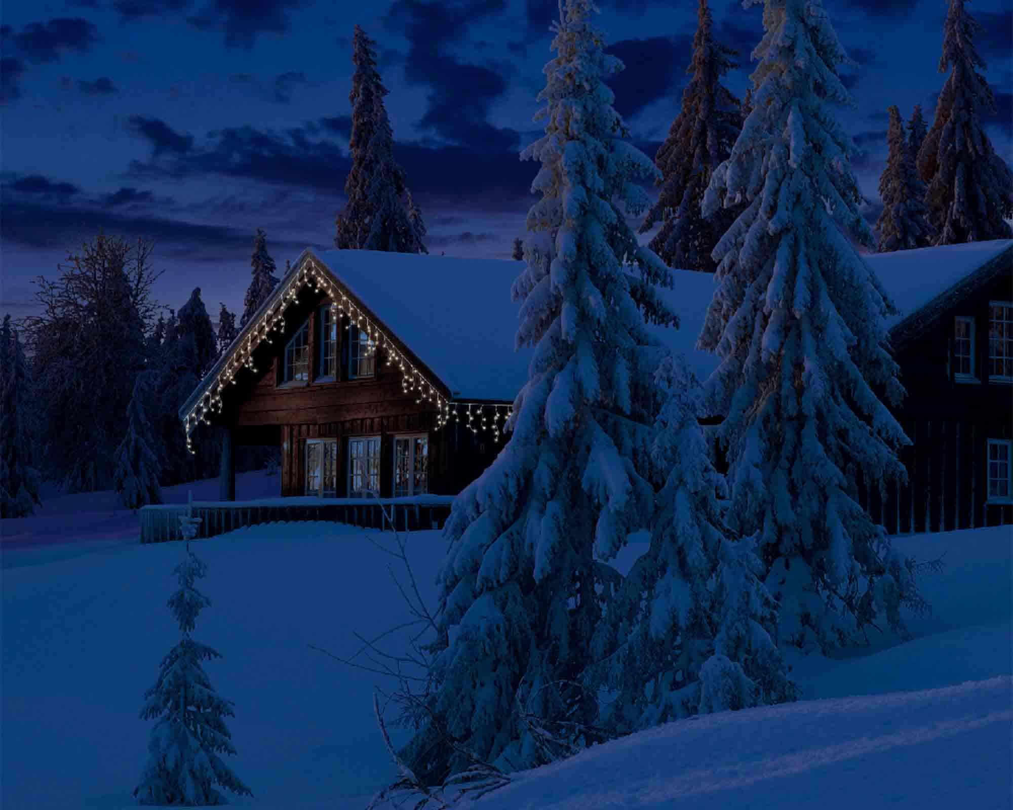 Tenda Luminosa 259 LED per Interno ed Esterno Cavo Trasparente e Bianco con Luce Calda 1100cm - immagine 5