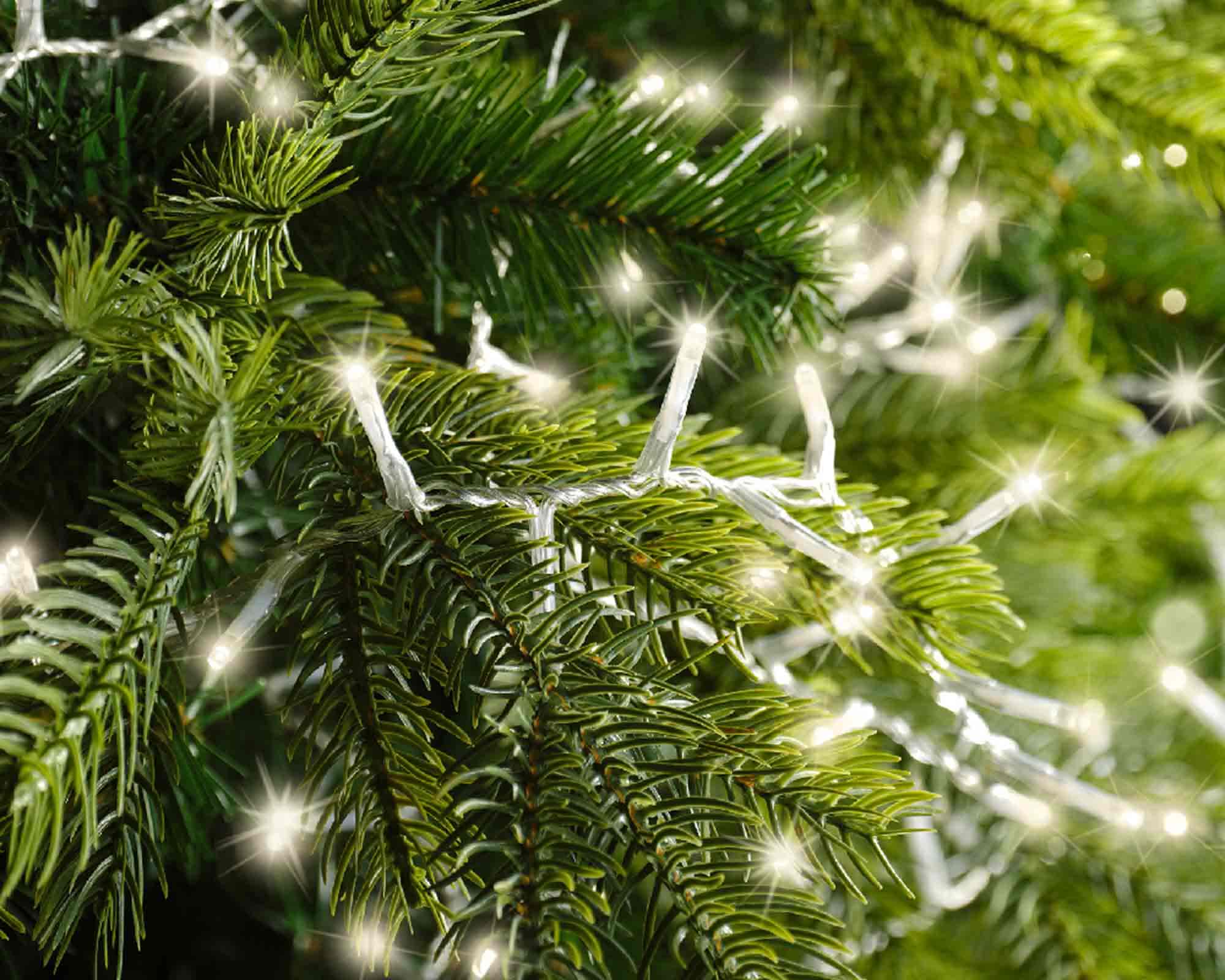 Catena Luci 1000 LED per Interno ed Esterno Cavo Trasparente e Bianco Luce Calda 225cm in PVC - immagine 2