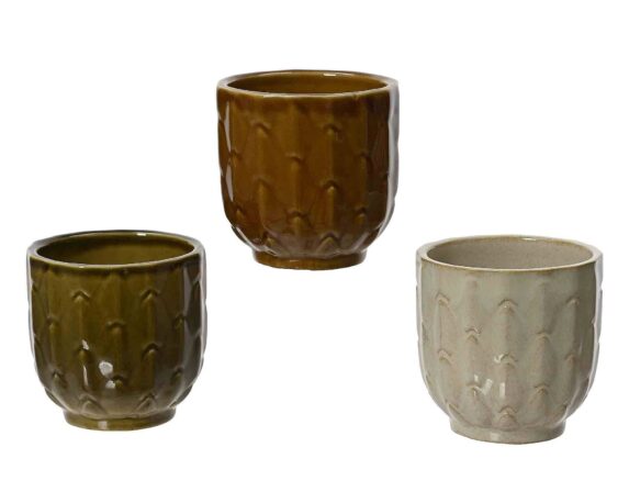 Cachepot Cactus Pratico e Semplice Assortiti D6x6cm