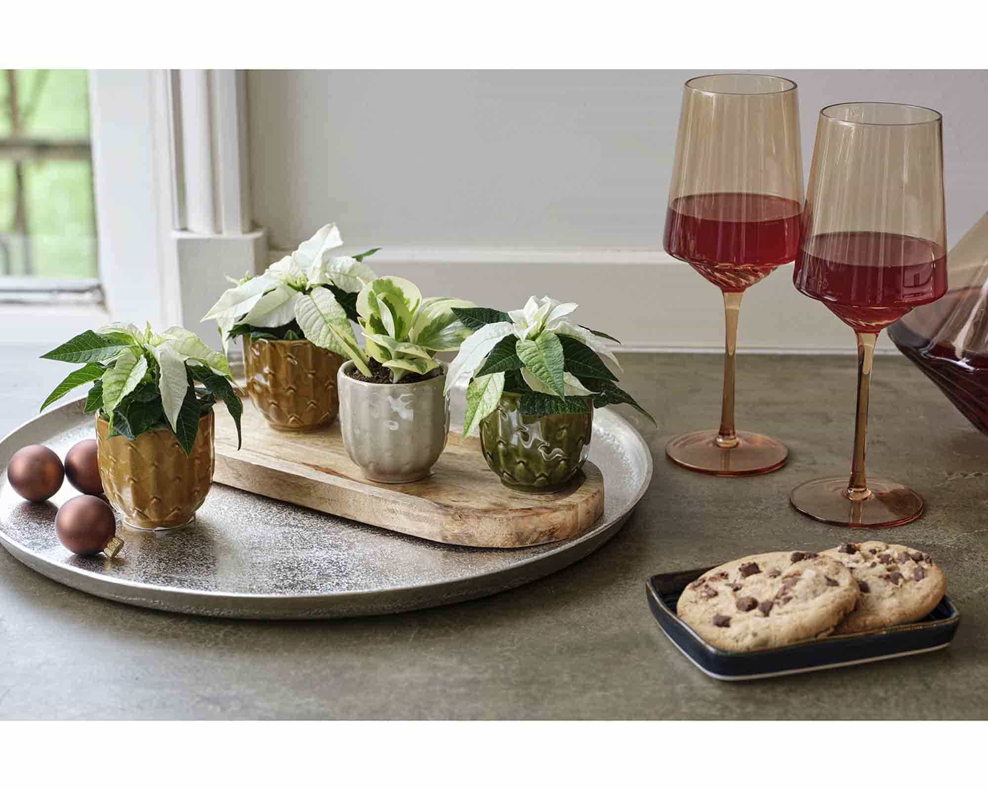 Cachepot Cactus Pratico e Semplice Assortiti D6x6cm - immagine 3