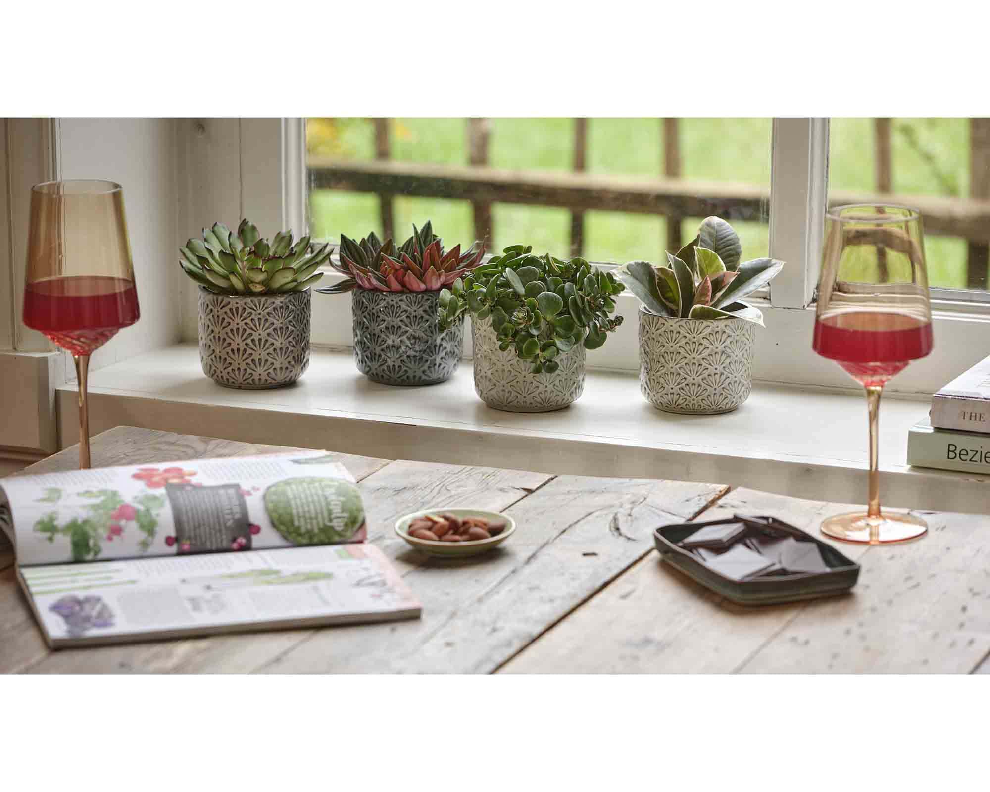 Cachepot Pratico con Fantasia Pavone Assortiti D8x9cm - immagine 3