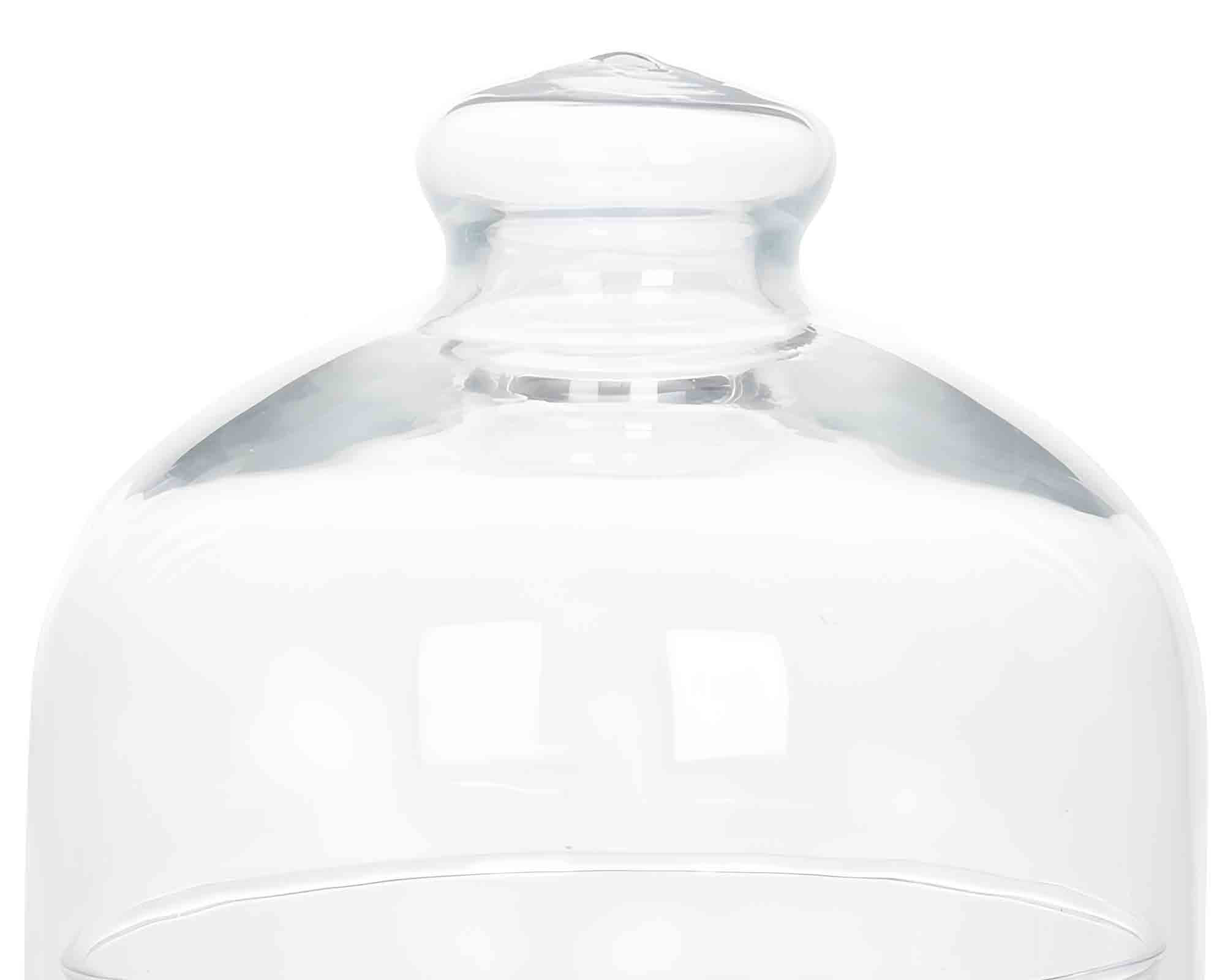 Cloche con Base D14x18cm in Vetro - immagine 3