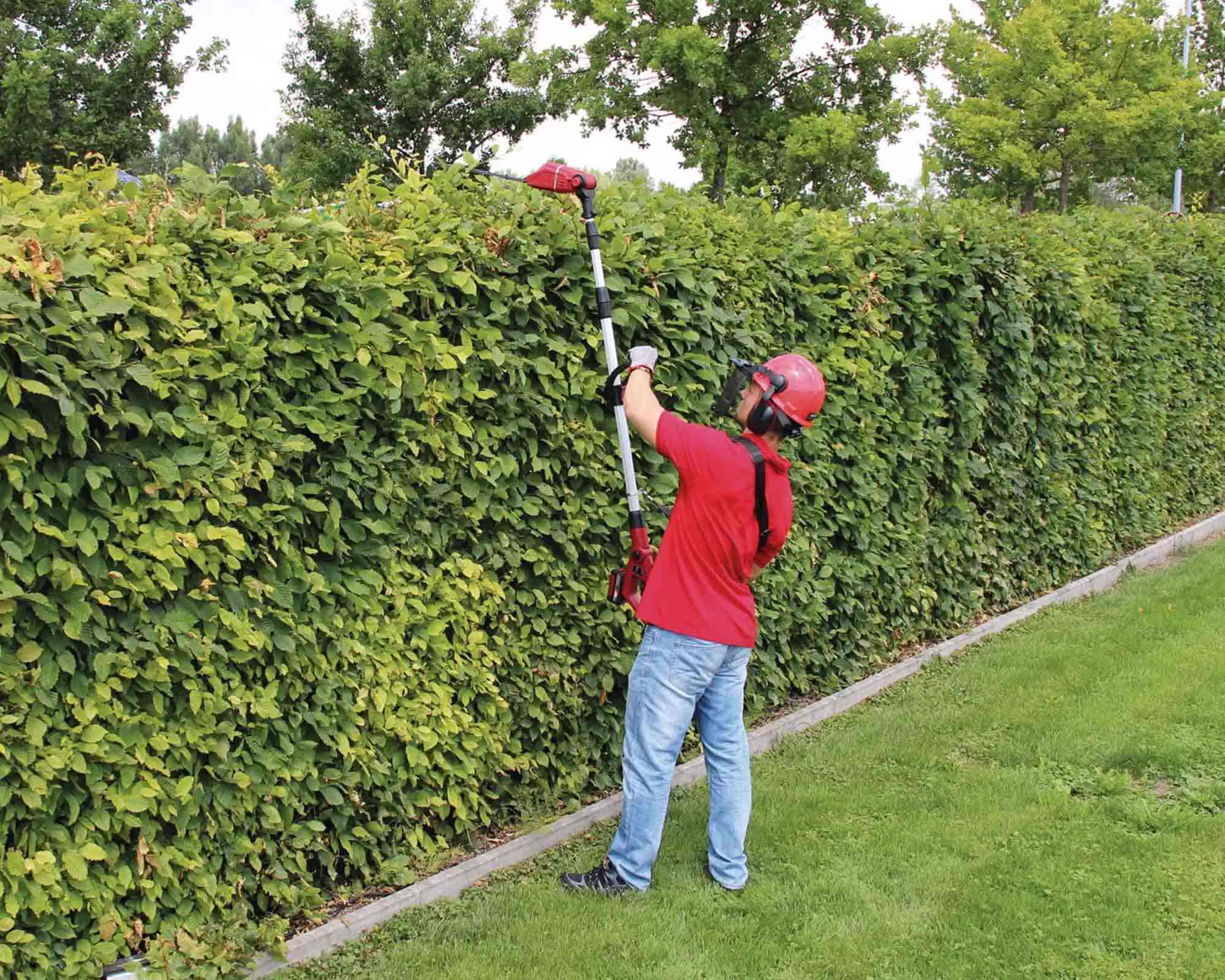 Multifunzione a Batteria 18 V Lunghezza di Taglio 170mm GE-HC 18 LI - Einhel - immagine 7