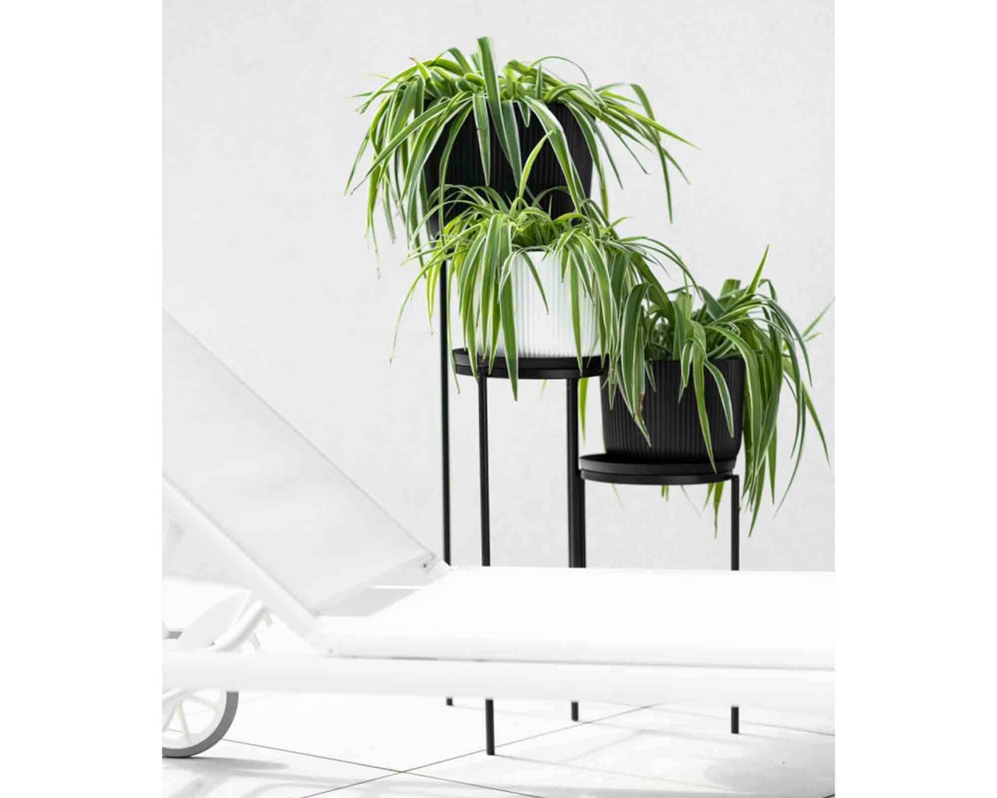 Etagere con 3 Piani Antracite 42x40,5x60cm in Metallo - immagine 3