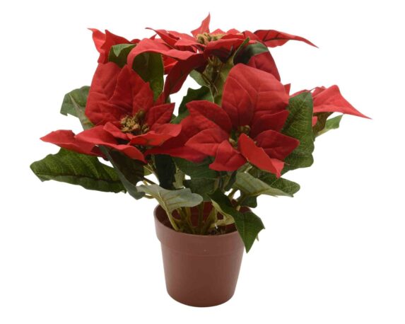 Decorazione Stella di Natale 10x10x27cm