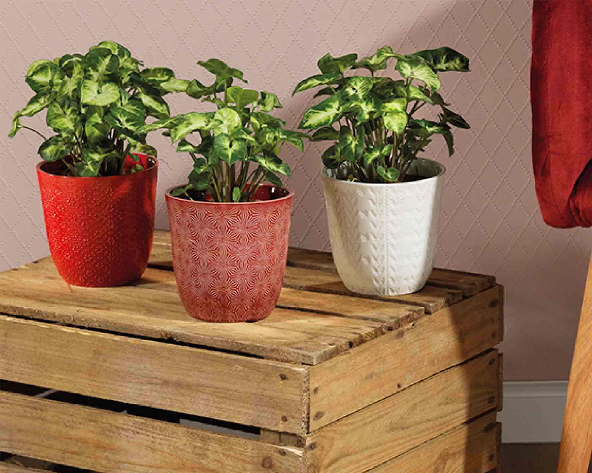 Cachepot Semplice e Pratico Assortiti D13,5x13,5cm in Gres - immagine 3