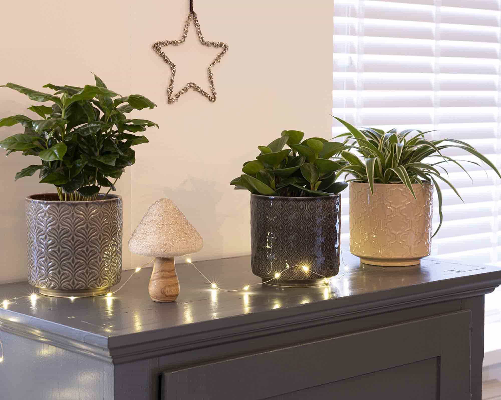 Cachepot Semplice e Pratico Cilindrico Assortiti D13x13cm - immagine 3