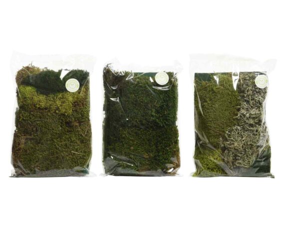 Muschio a Tappeto per Presepi 18x4x22cm