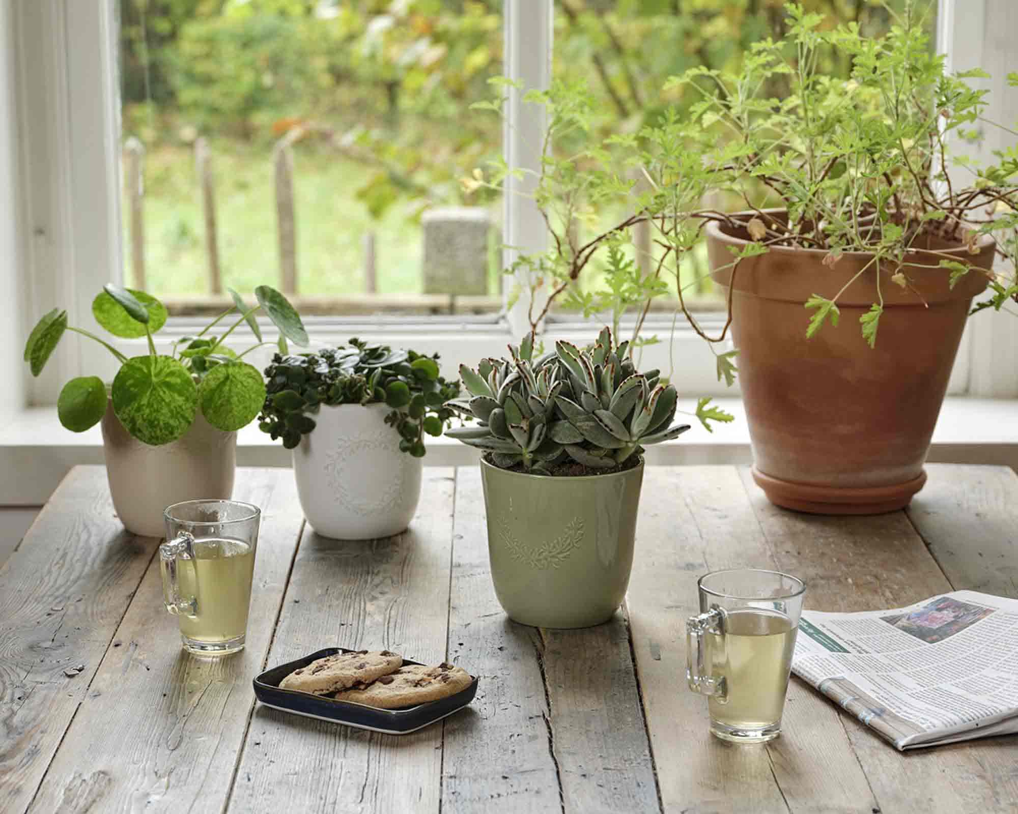 Cachepot Semplice e Pratico Smaltato con Rami Decorativi Assortiti D13,5x13cm - immagine 3