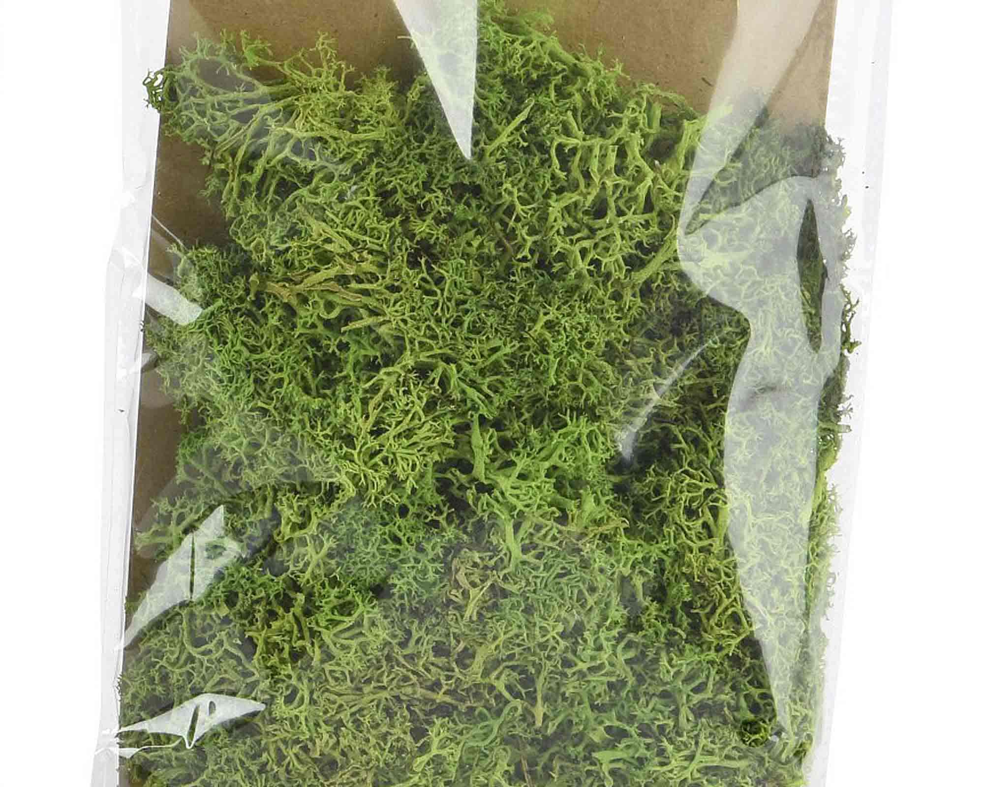 Muschio per Presepi 25x15x2cm da 50g - immagine 2