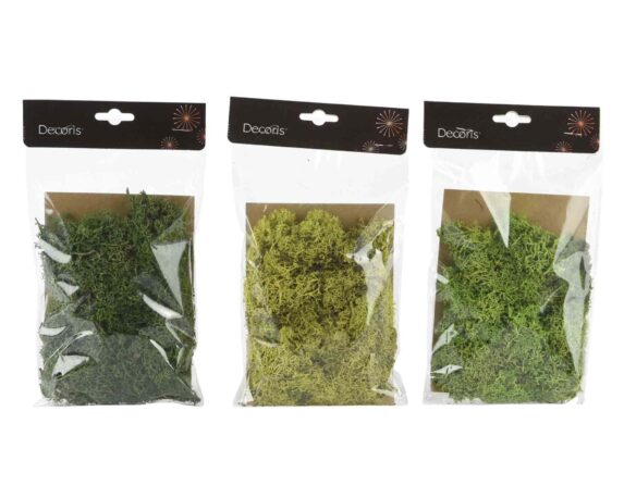 Muschio per Presepi 25x15x2cm da 50g