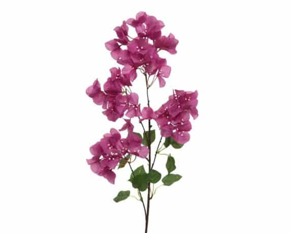 Stelo Bougainvillea Viola D7x24cm in Fibra Sintetico – Kaemingk