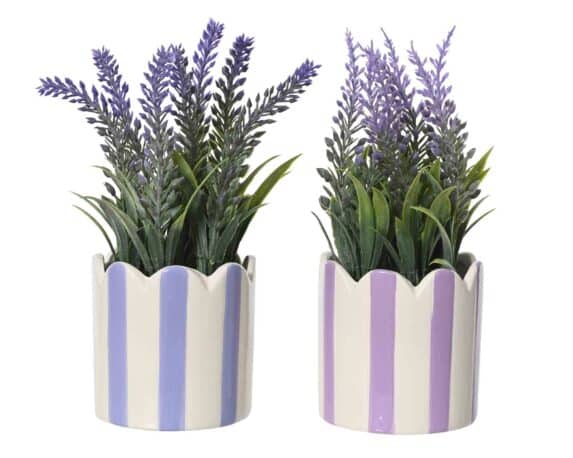 Vaso Decorativo con Lavanda Assortito D7x18cm in Porcellana e Plastica – Kaemingk