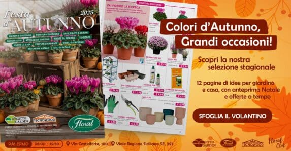 Festa d’Autunno 2025: Scopri tutte le offerte della stagione! 🍂