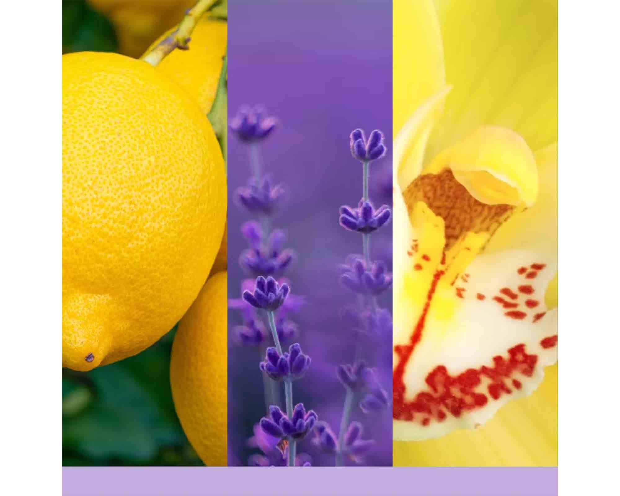 Fragranza per Diffusore Lemon Lavender – Yankee Candle - immagine 6