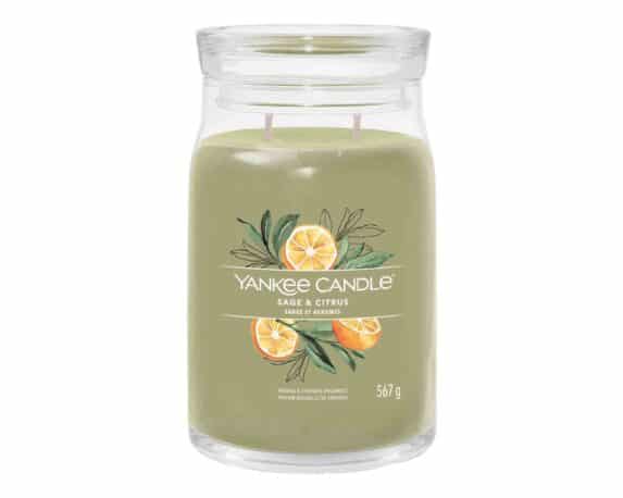 Candela Giara Grande Sage & Citrus – Yankee Candle