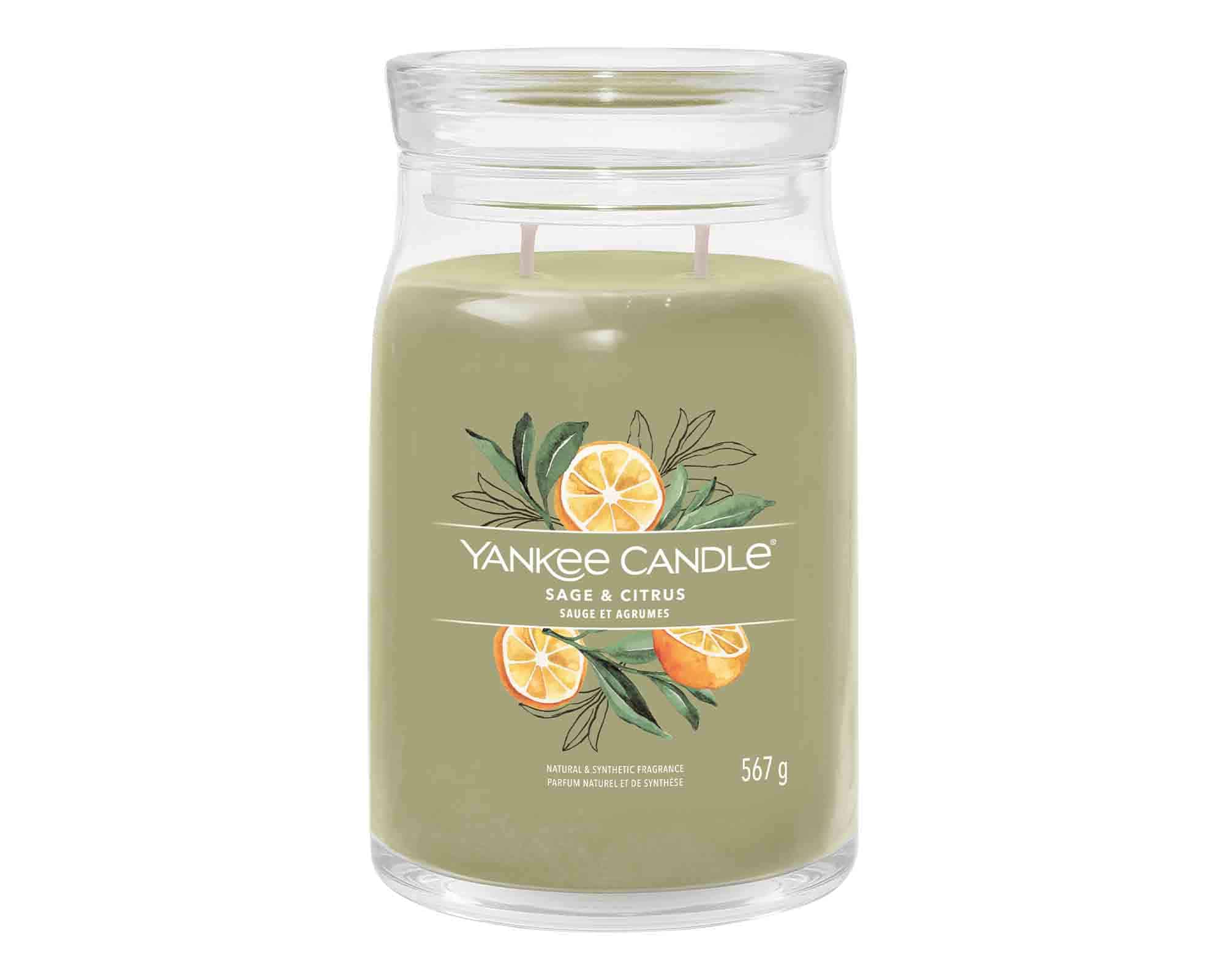 Candela Giara Grande Sage & Citrus - Yankee Candle