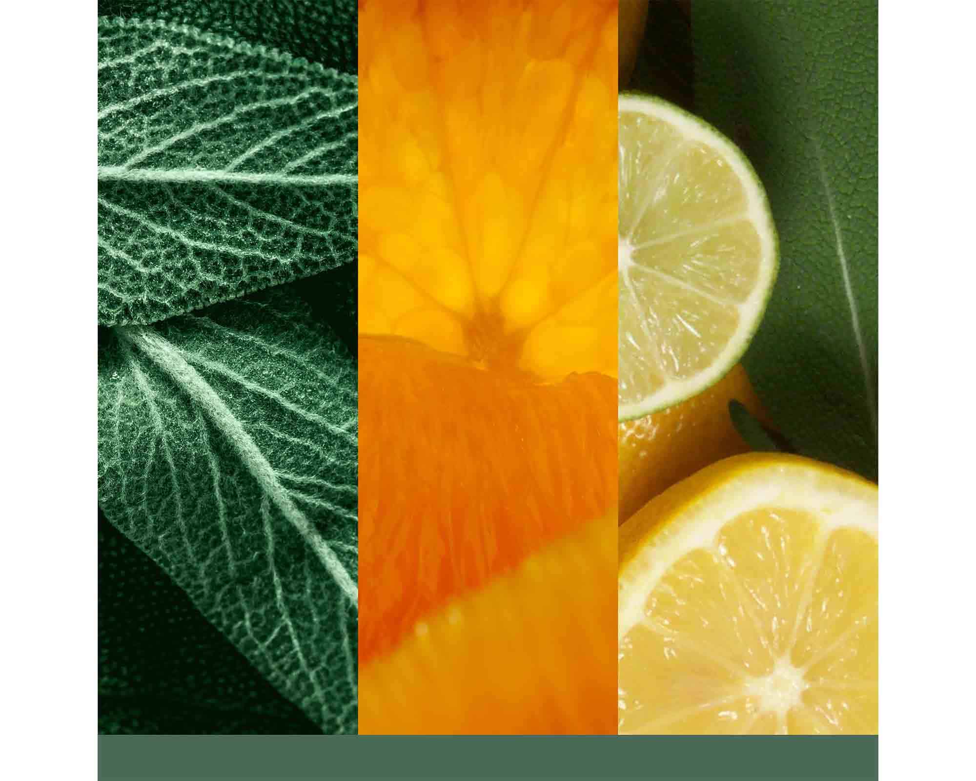 Candela Giara Grande Sage & Citrus - Yankee Candle - immagine 7