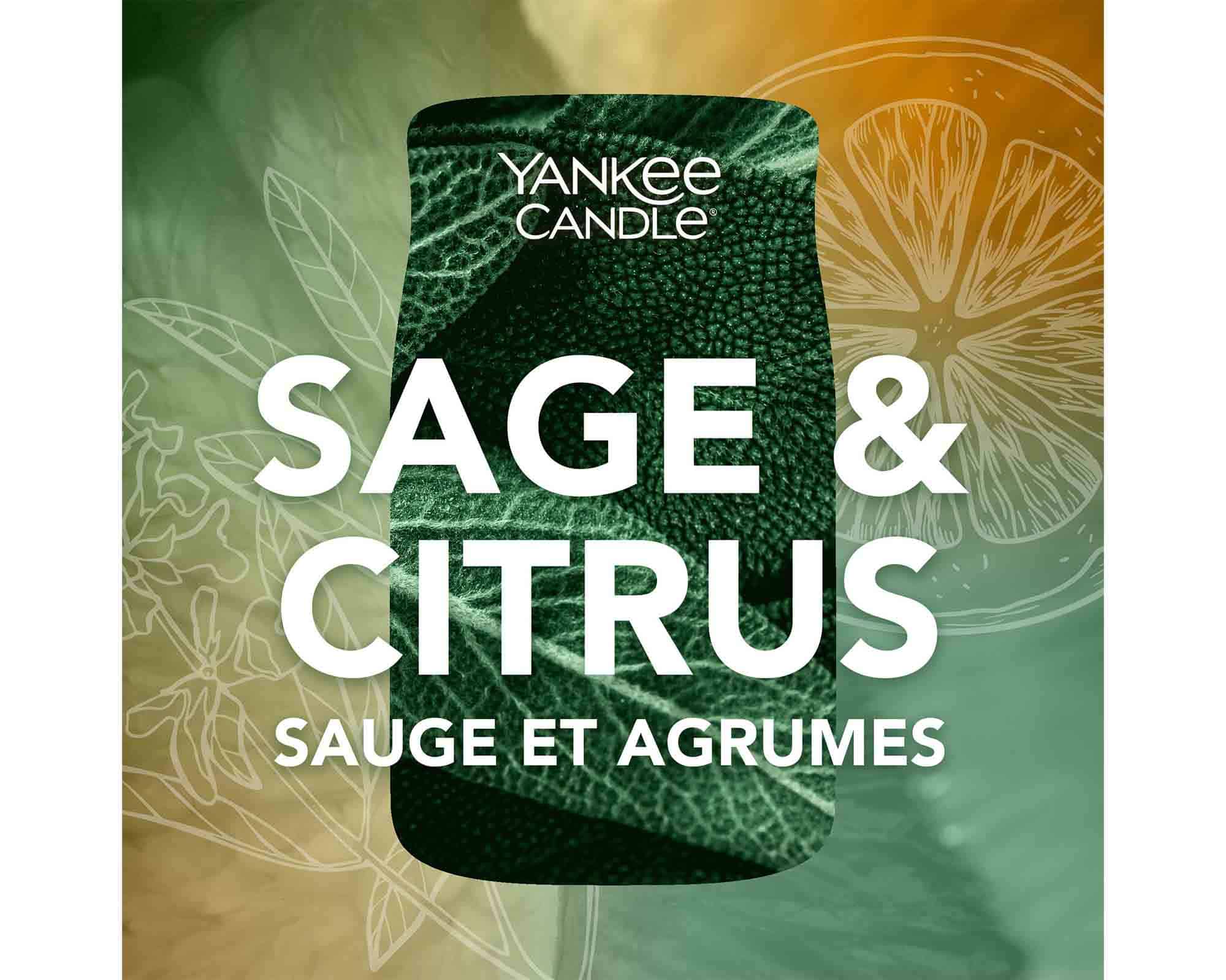 Candela Giara Grande Sage & Citrus - Yankee Candle - immagine 4