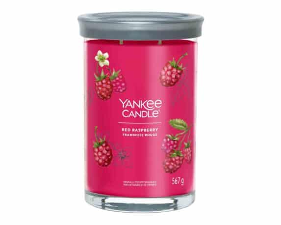 Candela Tumbler Grande Red Raspberry – Yankee Candle
