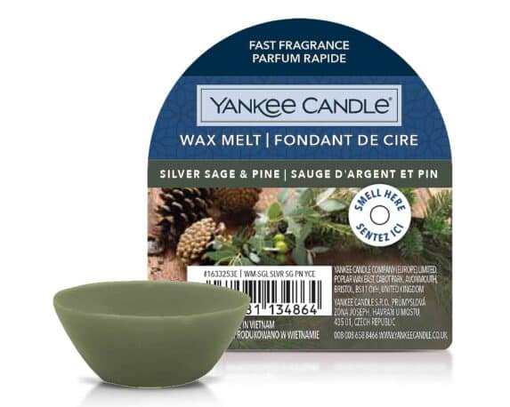 Cera da Fondo Silver Sage & Pine – Yankee Candle