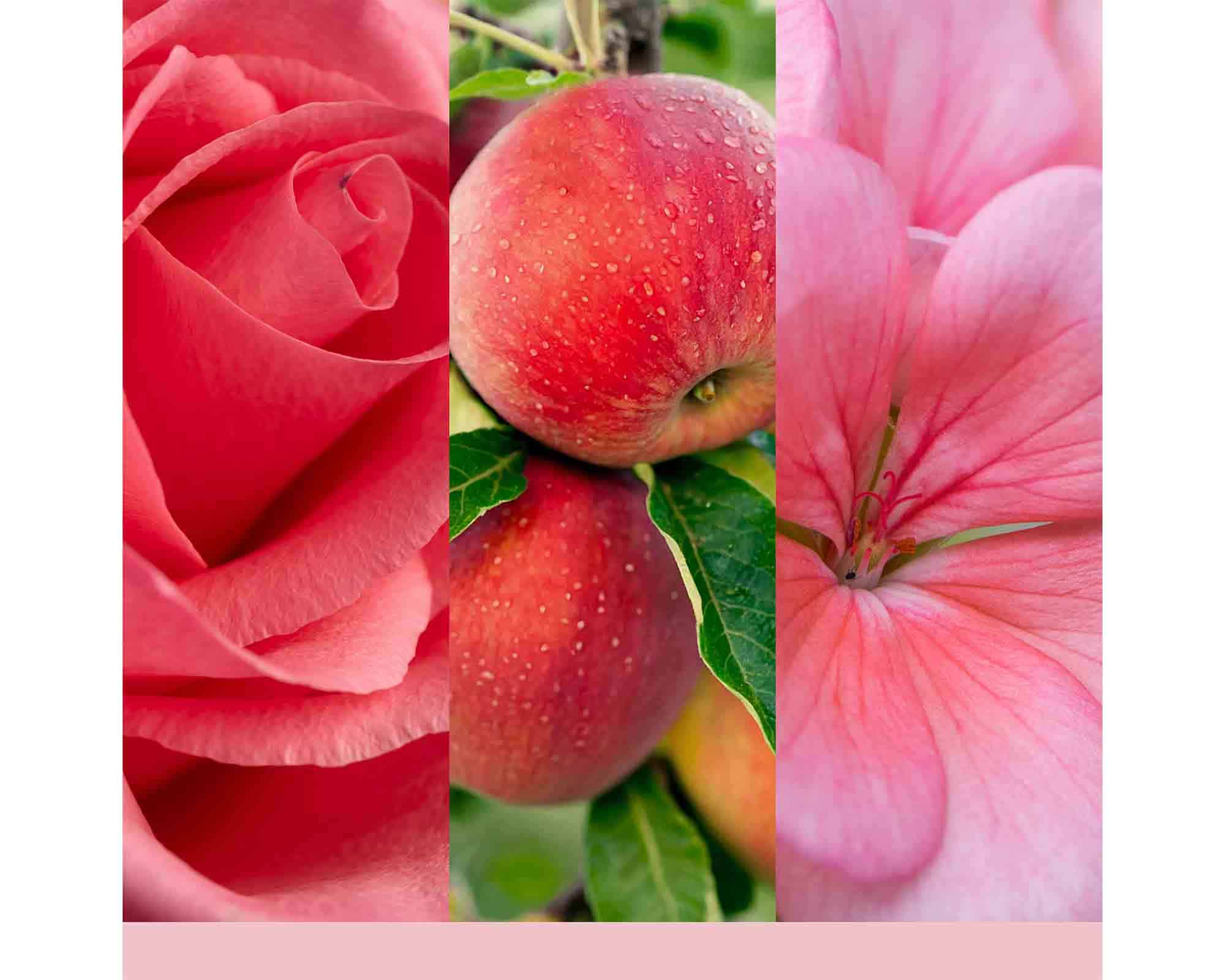 Cera da Fondo Fresh Cut Roses - Yankee Candle - immagine 5