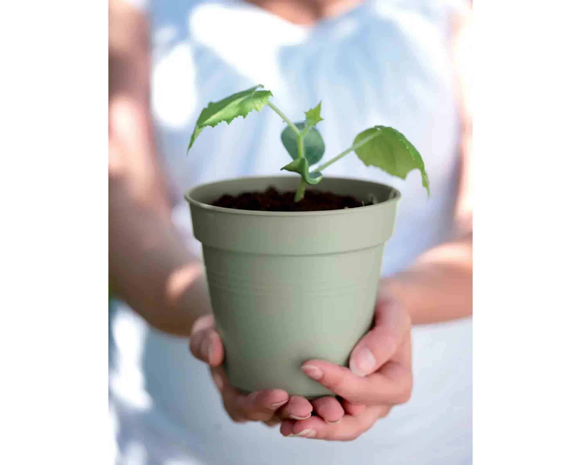 Vaso Green Basics Verde Pietra D19x17cm in Plastica Riciclata - Elho - immagine 8