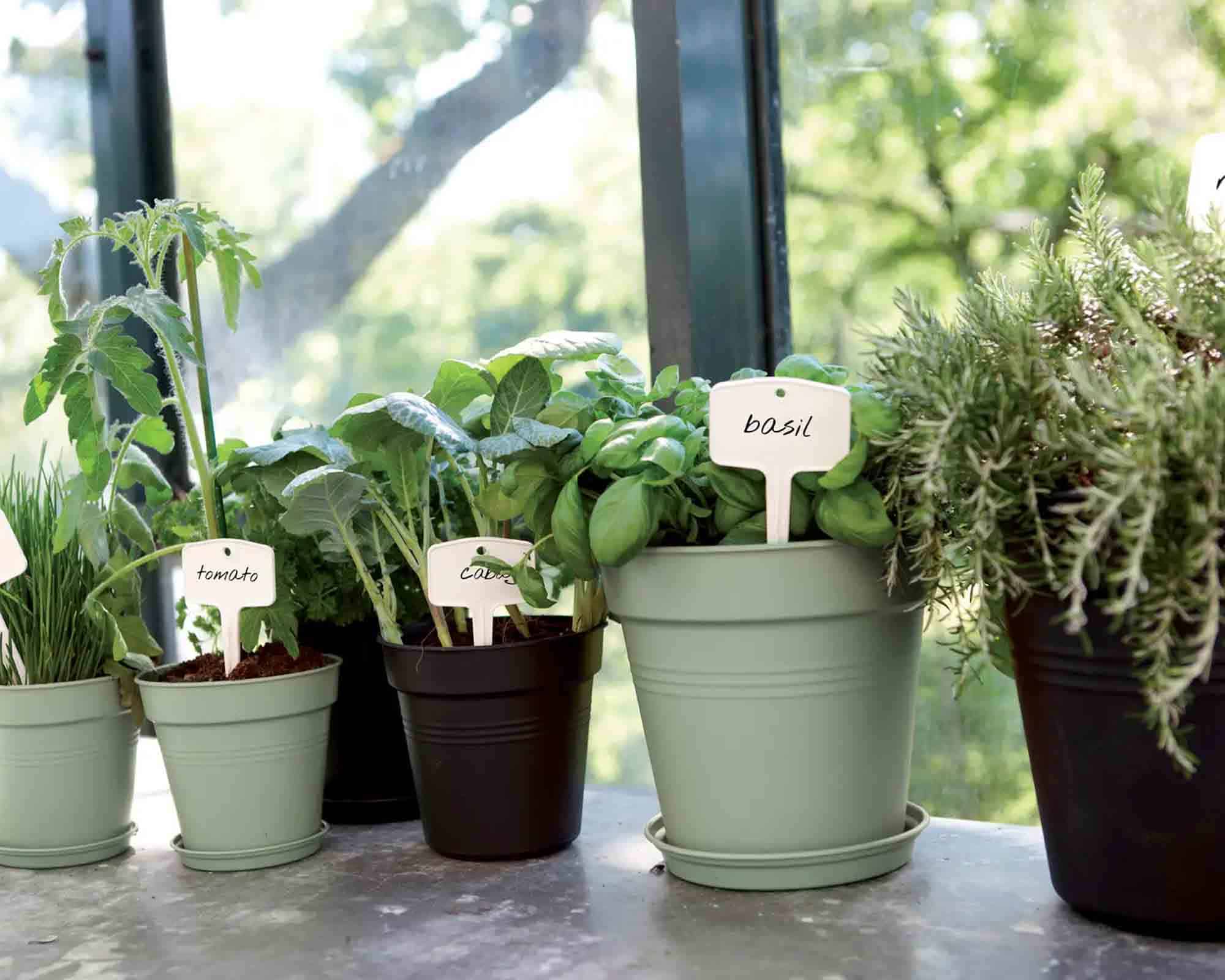 Vaso Green Basics Verde Pietra D19x17cm in Plastica Riciclata - Elho - immagine 7