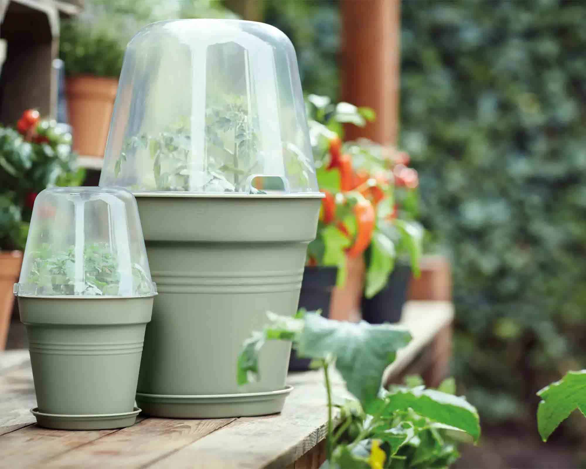 Vaso Green Basics Verde Pietra D19x17cm in Plastica Riciclata - Elho - immagine 6