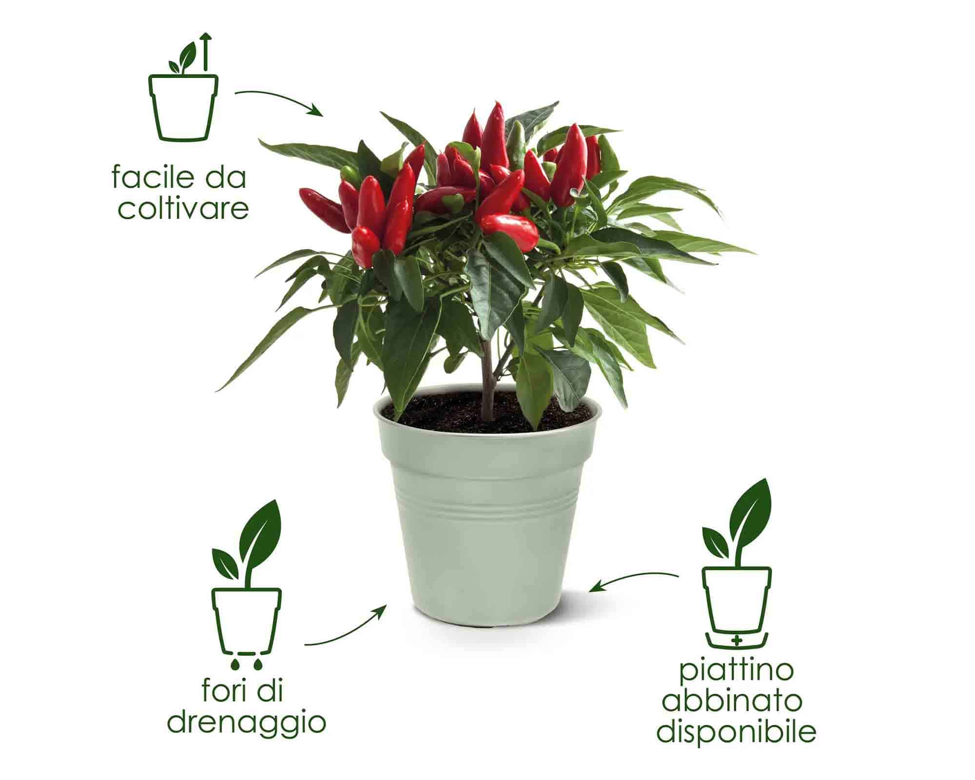 Vaso Green Basics Verde Pietra D19x17cm in Plastica Riciclata - Elho - immagine 9