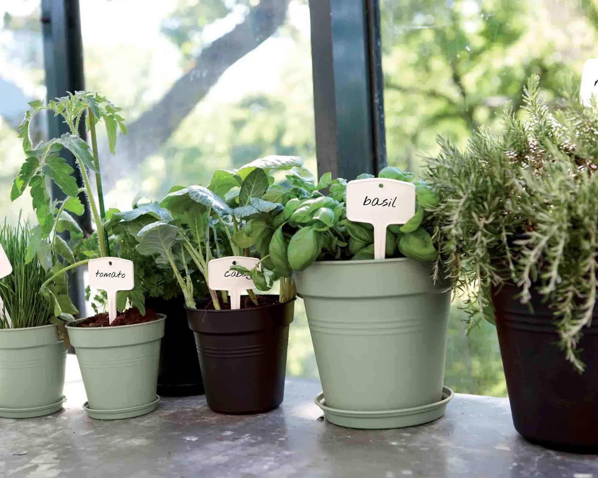 Sottovaso Green Basics D10cm in Plastica Riciclata - immagine 4