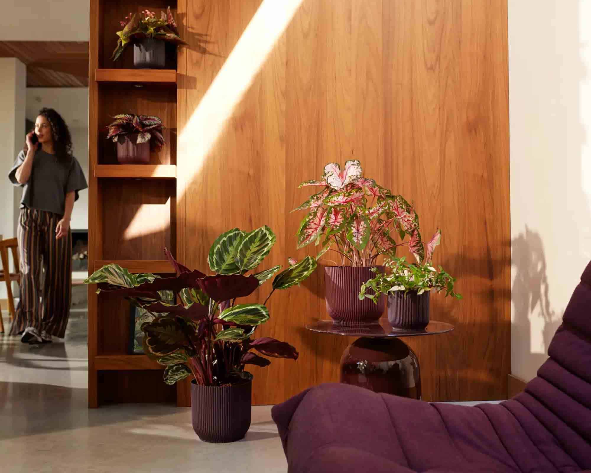 Cachepot Tondo Winery Porpora Scuro D16x15cm in Plastica Riciclato - Elho - immagine 8