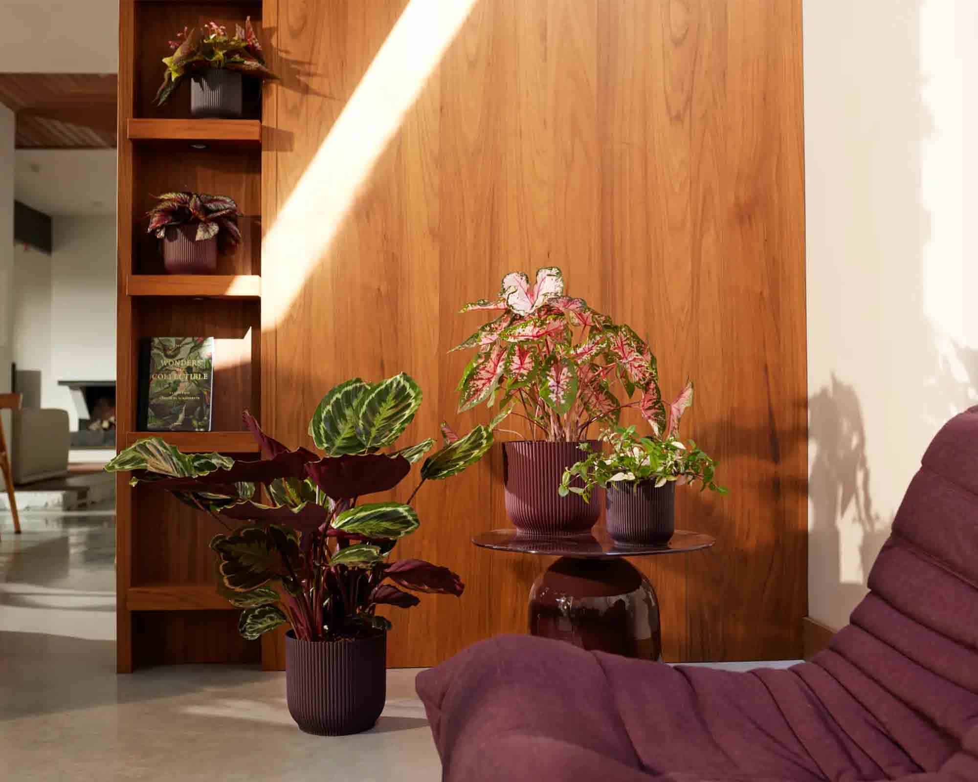 Cachepot Tondo Winery Rosso Bordeaux D16x15cm in Plastica Riciclato - Elho - immagine 7