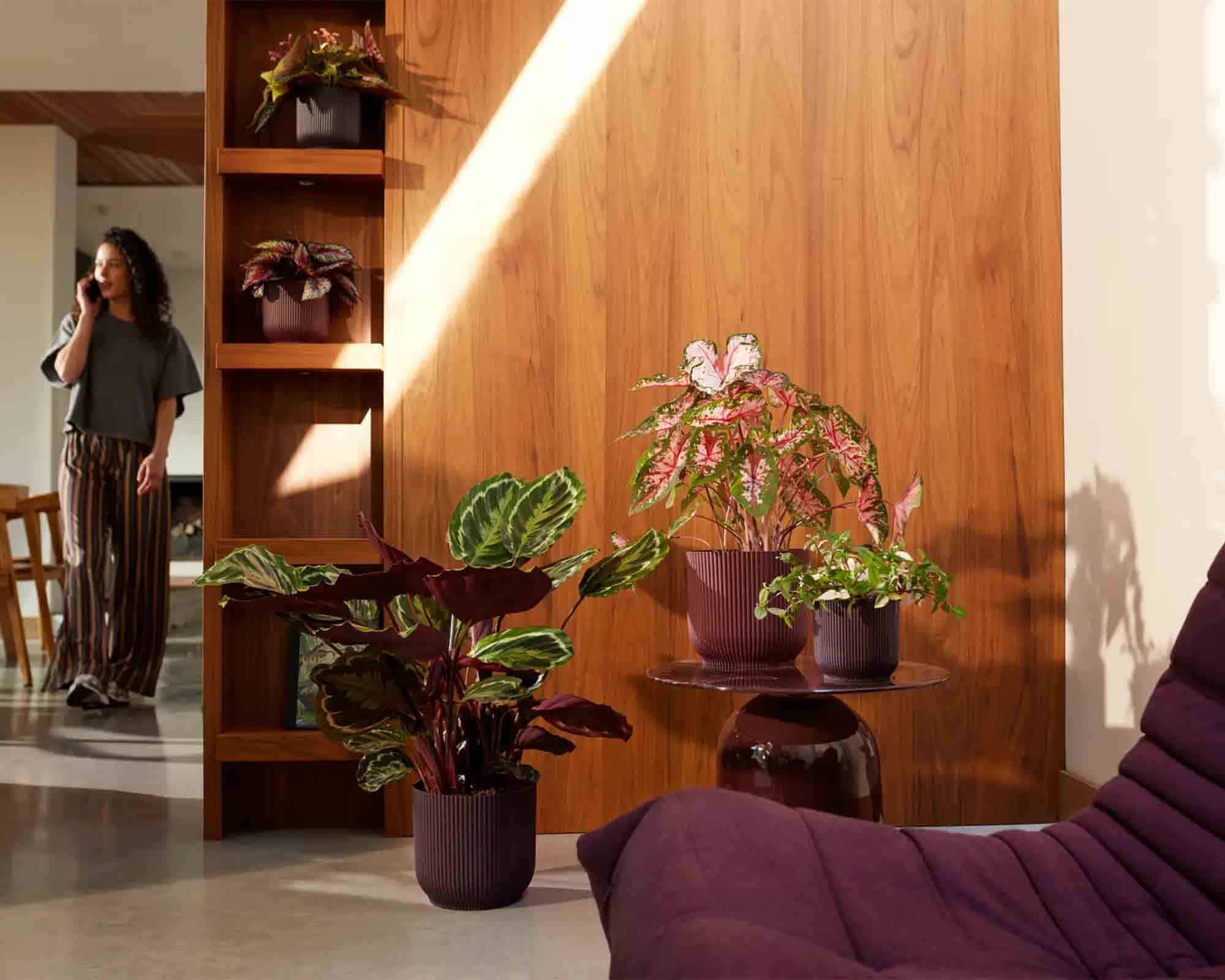 Cachepot Tondo Winery Rosso Bordeaux D16x15cm in Plastica Riciclato - Elho - immagine 8