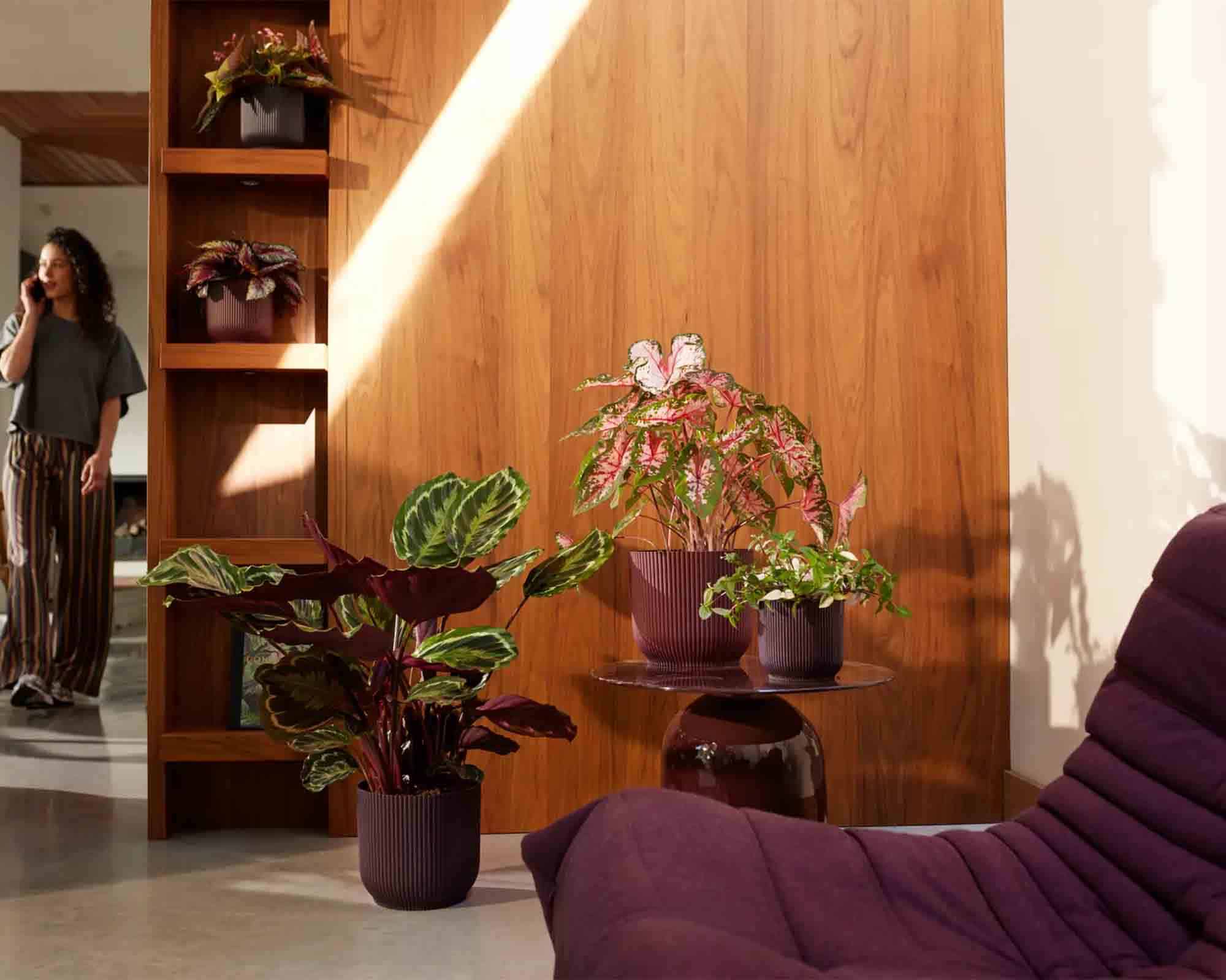 Cachepot Tondo Winery Porpora Scuro D18x17cm in Plastica Riciclato - Elho - immagine 8