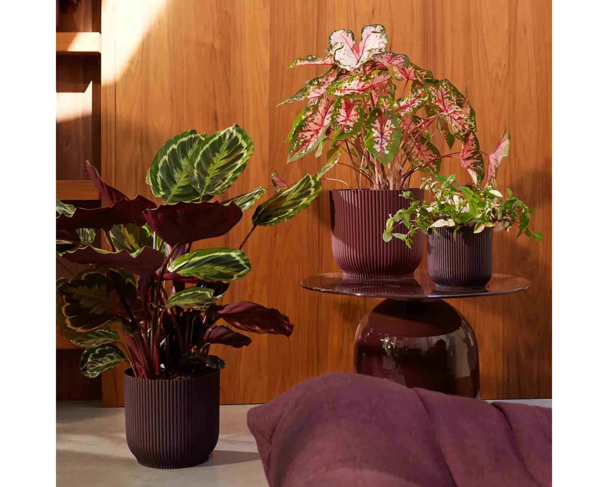 Cachepot Tondo Winery Rosso Bordeaux D18x17cm in Plastica Riciclato - Elho - immagine 6