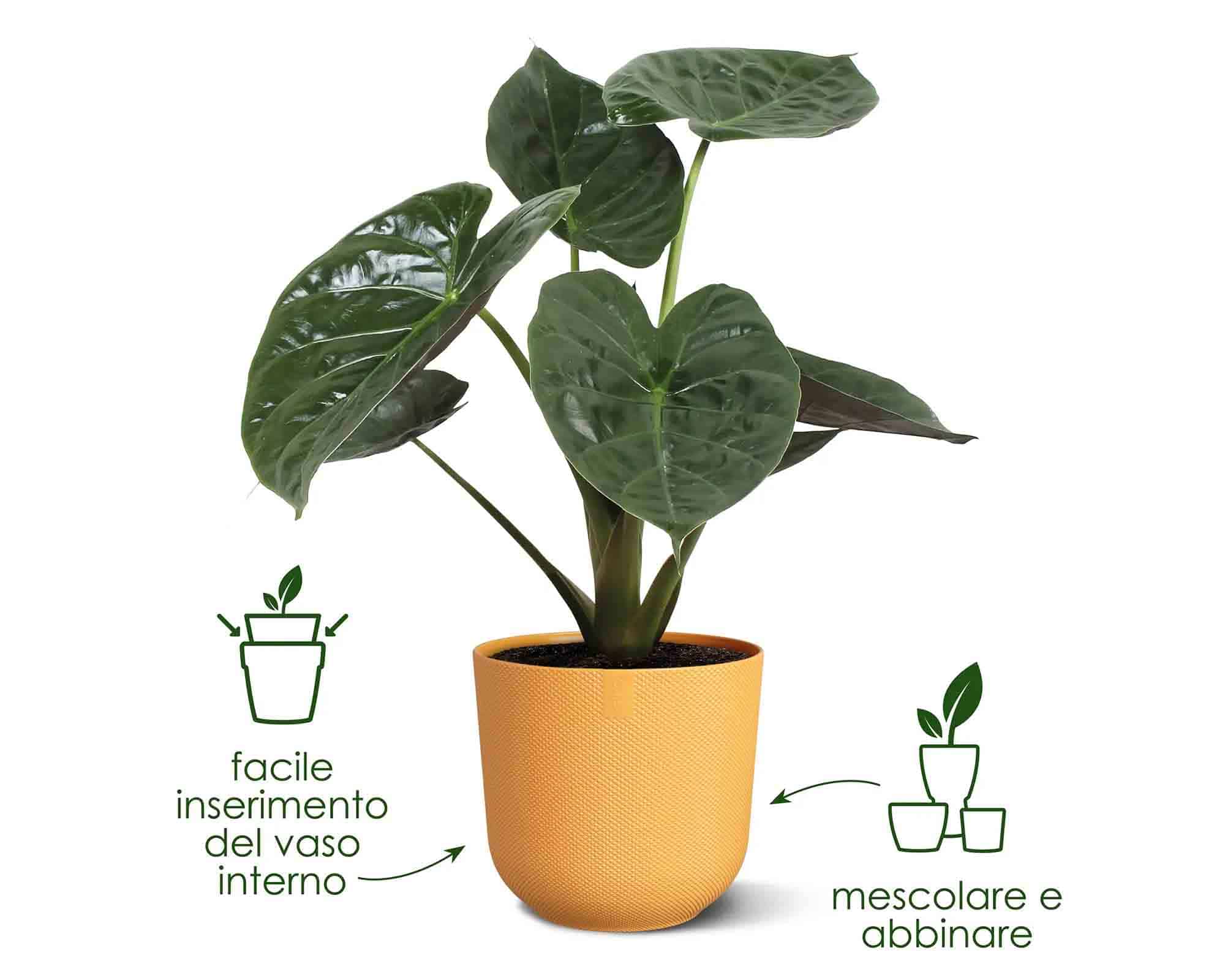 Cachepot Tondo Jazz Giallo Ambra D19x18cm in Plastica Riciclato - Elho - immagine 6