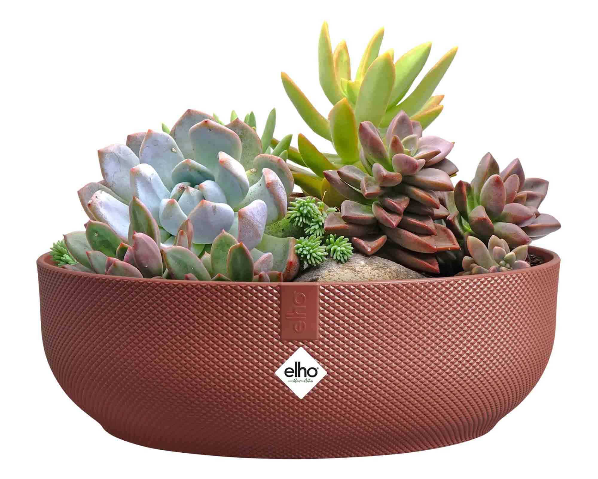 Cachepot Ciotola Jazz Rosso Bordeaux D28x9cm in Plastica Riciclato - Elho - immagine 4