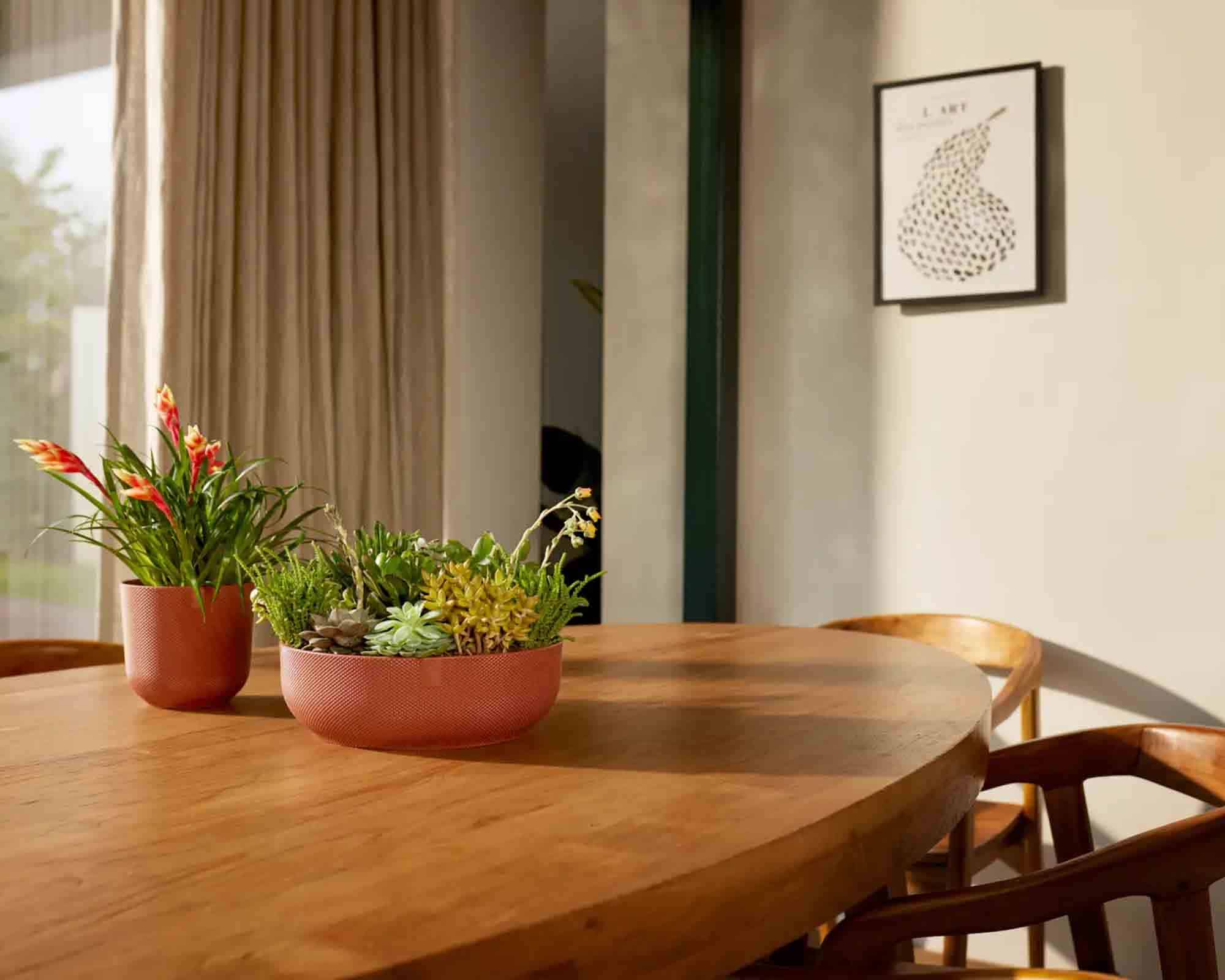 Cachepot Ciotola Jazz Rosso Bordeaux D28x9cm in Plastica Riciclato - Elho - immagine 7