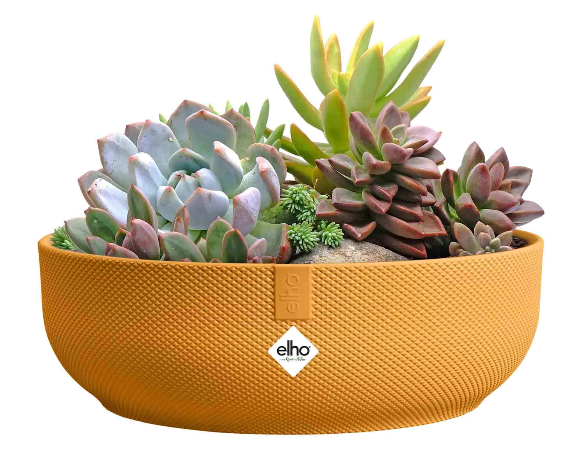 Cachepot Ciotola Jazz Mini Giallo Ambra D28x10cm in Plastica Riciclato - Elho - immagine 3