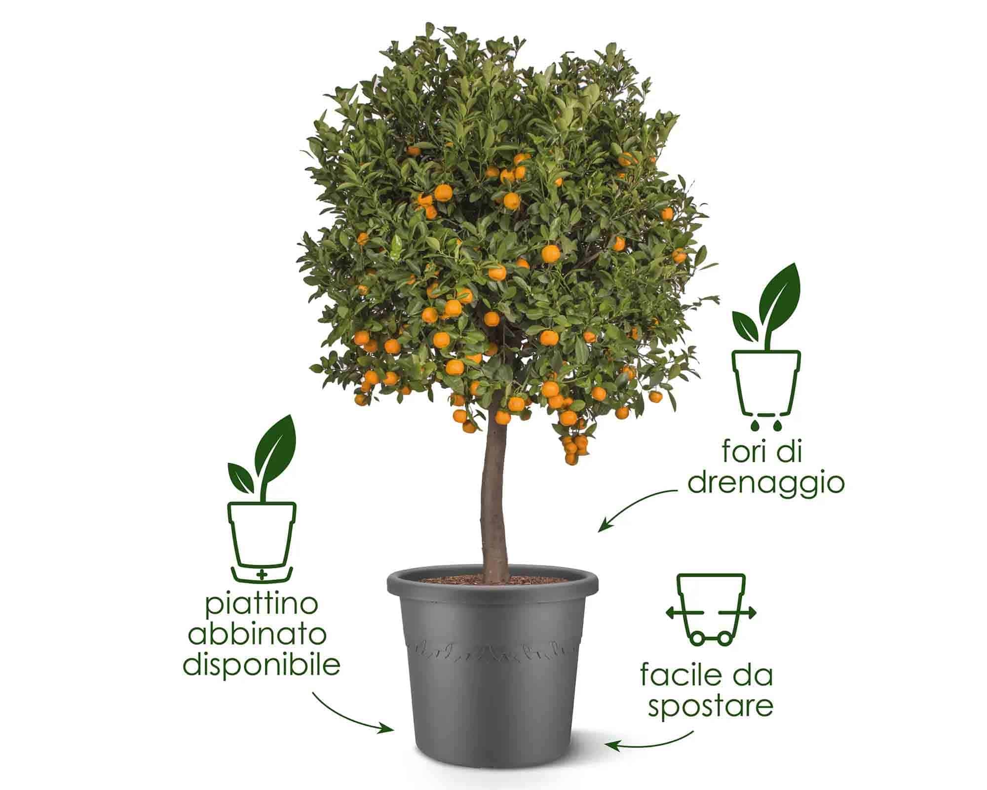 Vaso Cilindro Algarve Beige D58x48cm in Plastica Riciclata - Elho - immagine 9