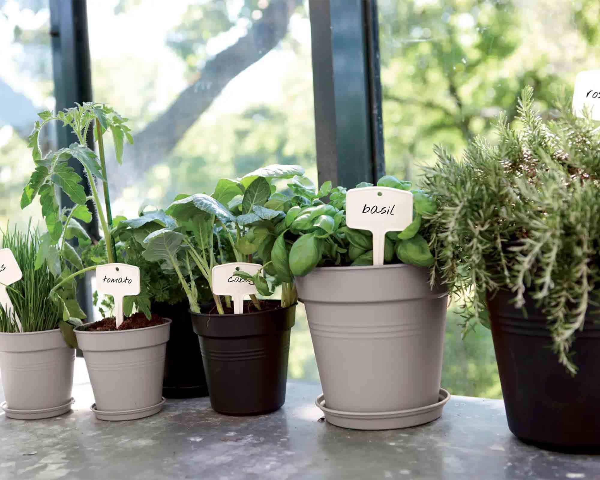 Vaso Green Basic Lilia D24cm in Plastica Riciclata - Elho - immagine 7