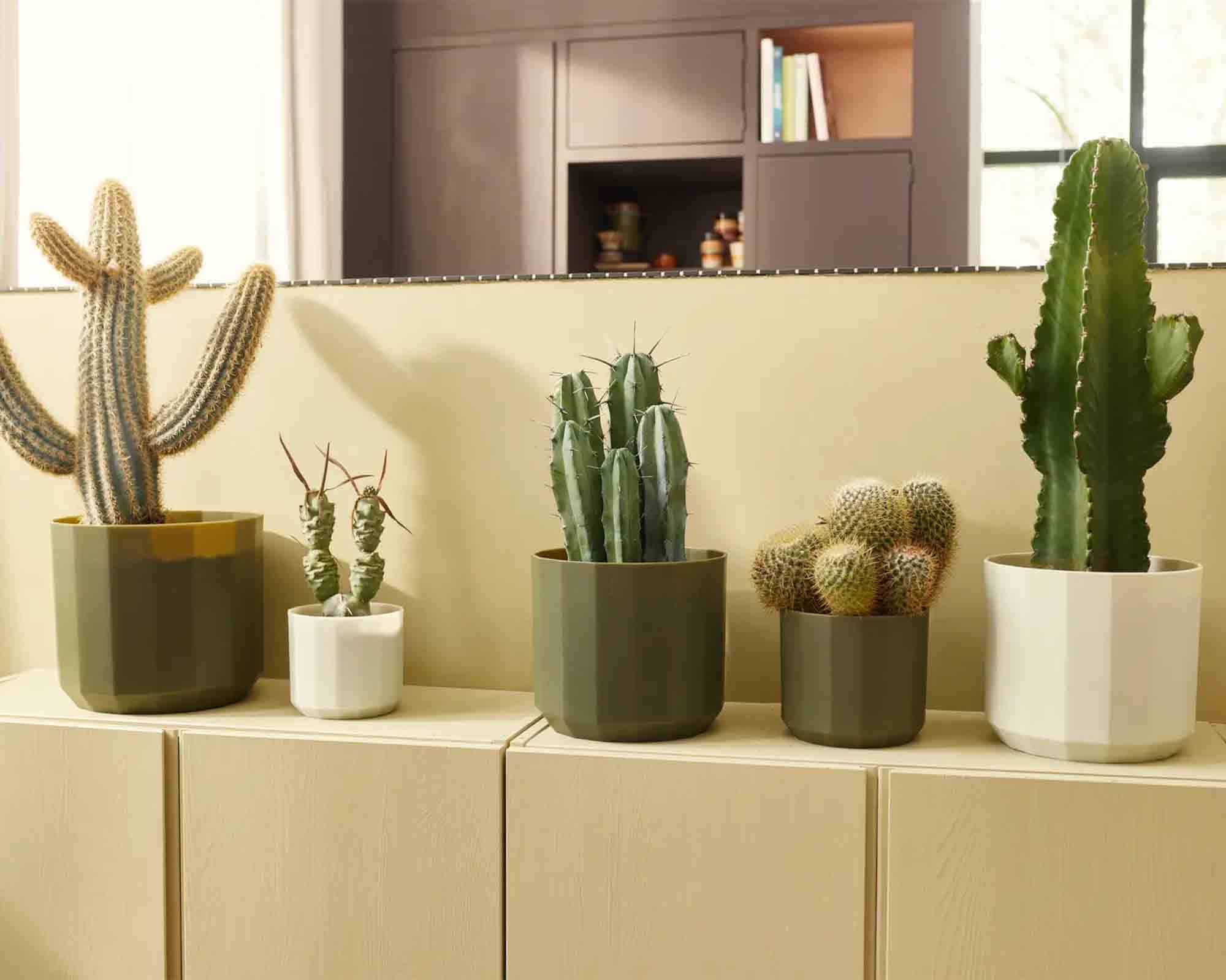 Cachepot Rotondo Facet Verde Foresta D17x15cm in Plastica Riciclato - Elho - immagine 8