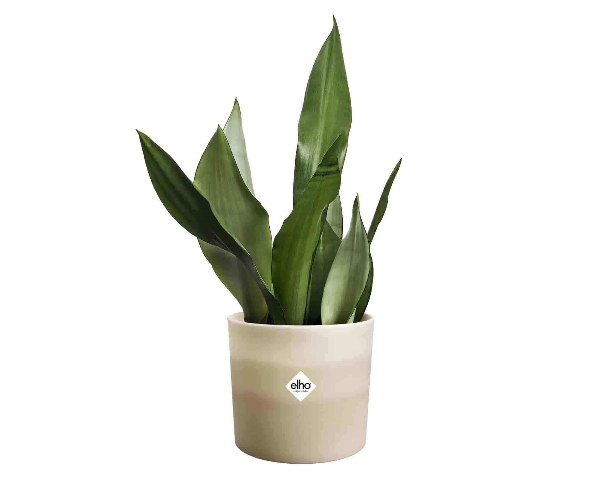 Cachepot Colour Gradient Beige D14x12cm in Plastica Riciclato - Elho - immagine 4