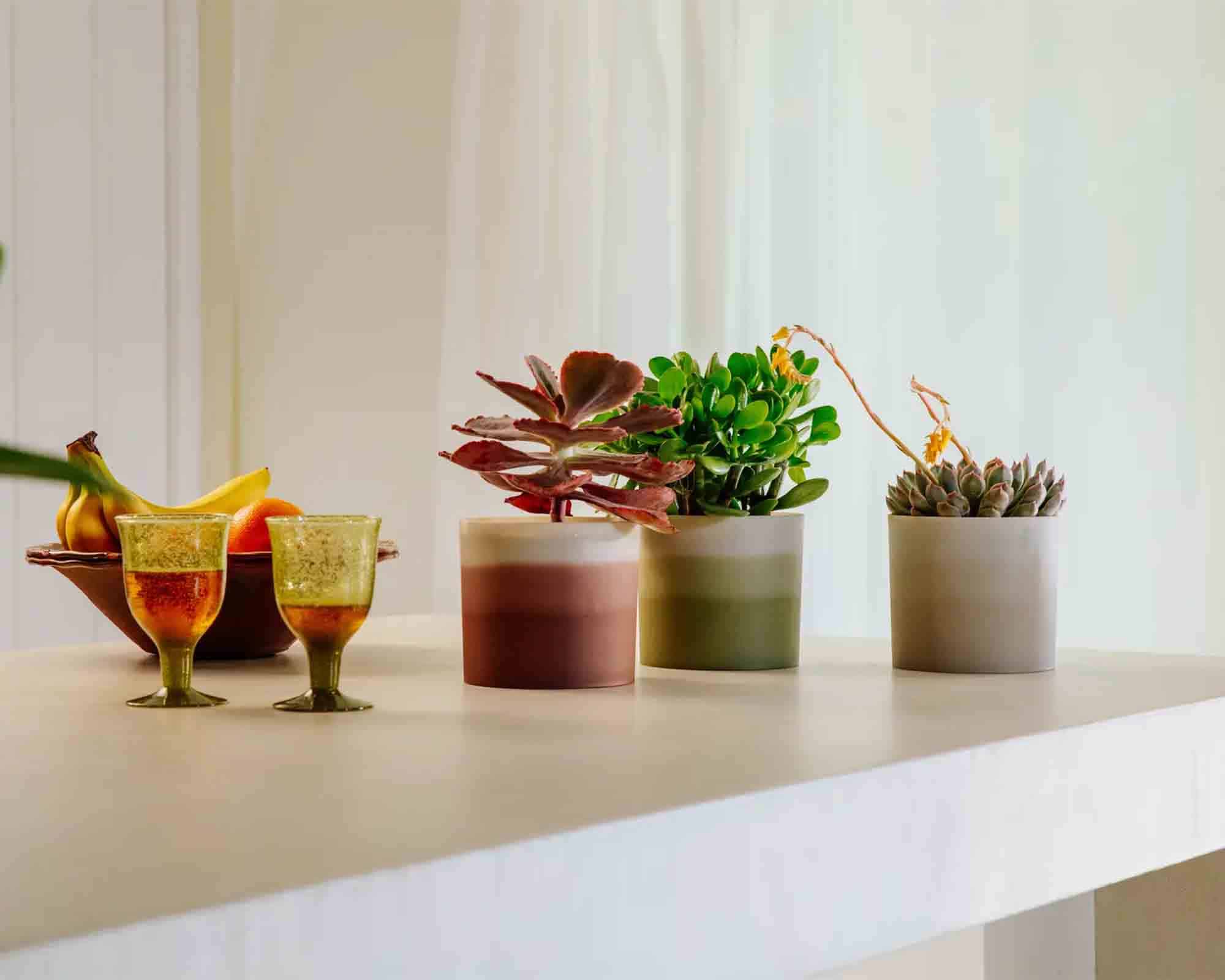 Cachepot Colour Gradient Beige D14x12cm in Plastica Riciclato - Elho - immagine 9