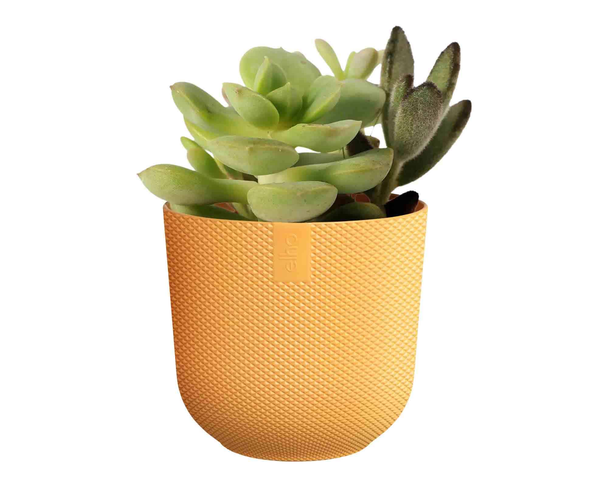 Cachepot Tondo Jazz Mini Giallo Ambra D11x10cm in Plastica Riciclato - Elho - immagine 4