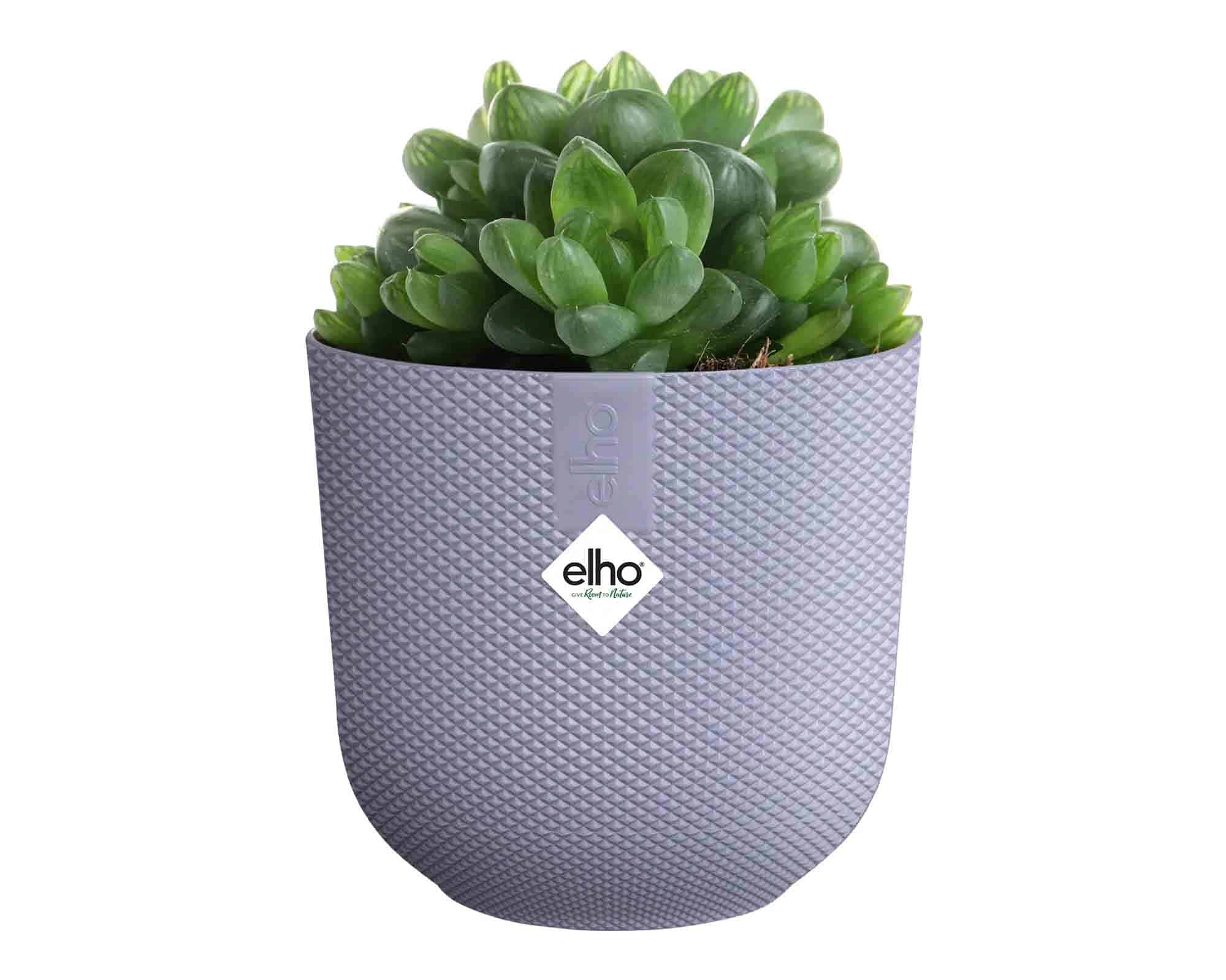 Cachepot Tondo Jazz Mini Lavanda D11x10cm in Plastica Riciclato - Elho - immagine 3