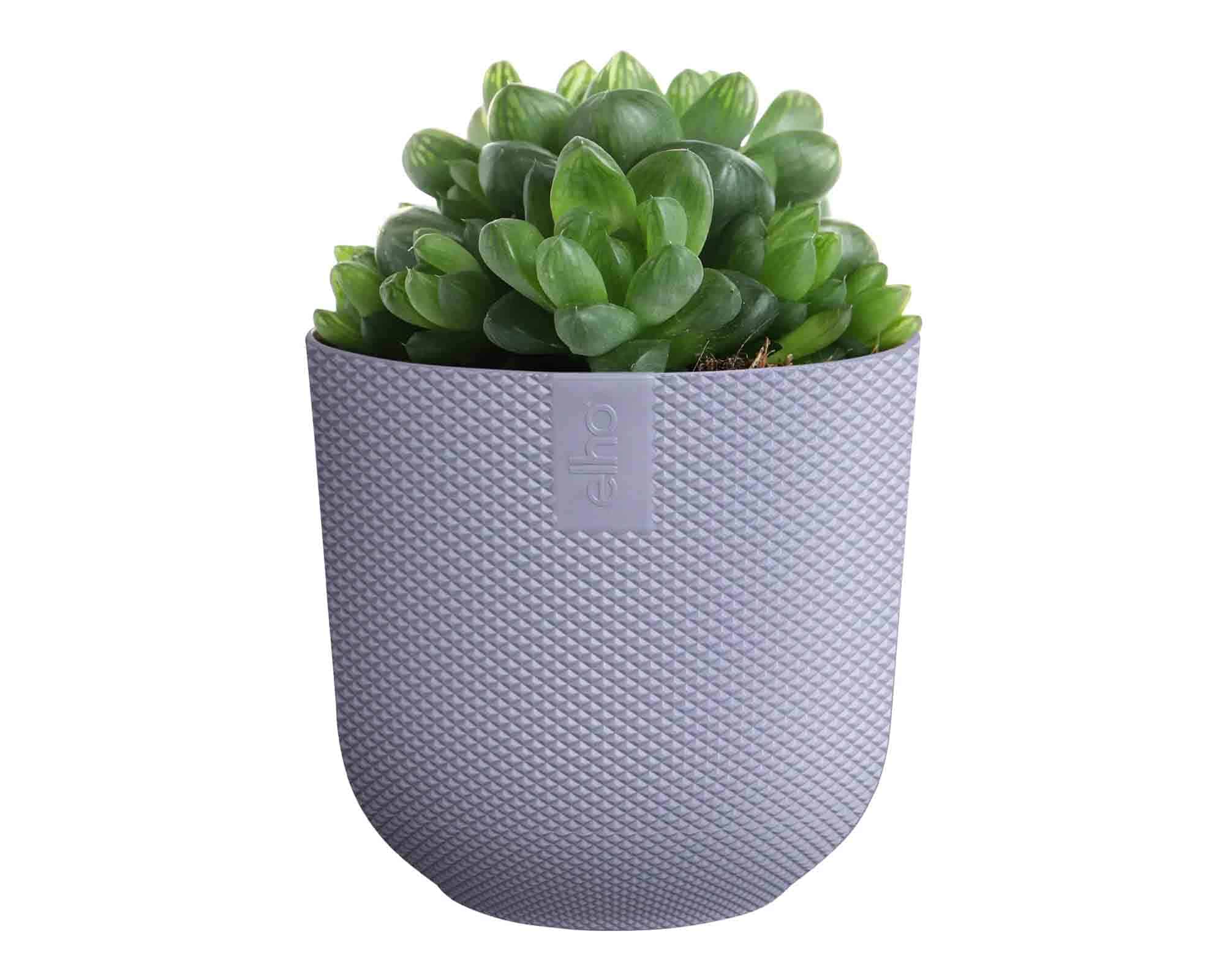 Cachepot Tondo Jazz Mini Lavanda D11x10cm in Plastica Riciclato - Elho - immagine 4